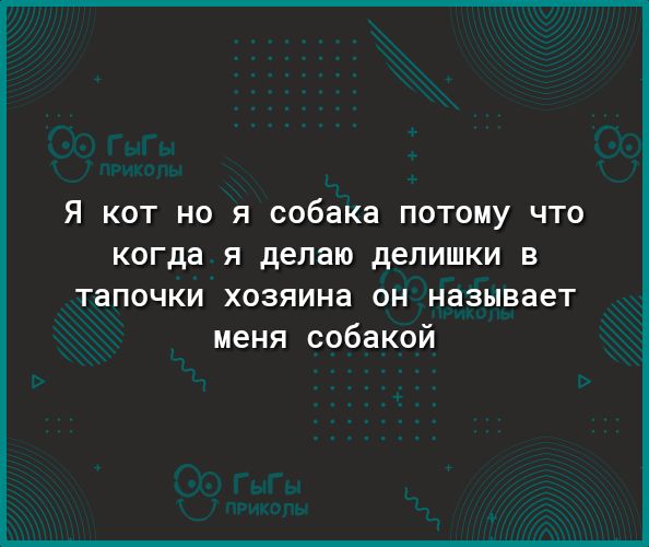 Я КОТ НО Я собака ПОТОМУ ЧТО когда Я делаю дЕЛИШКИ В тапочки хозяина он называет меня собакой