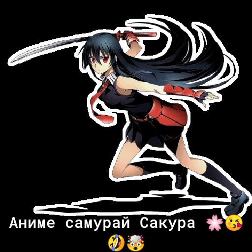 Аниме самурай Сакура ФБ