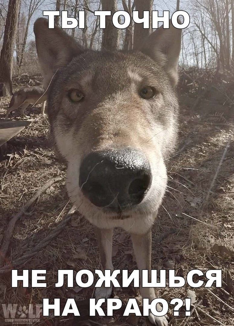 Не ложишь уна краю