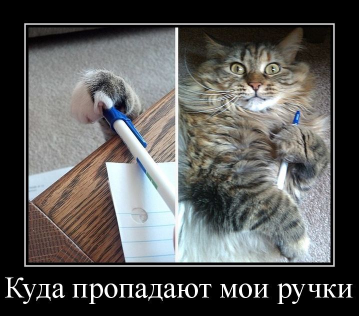 Куда пропадают МОИ ручки