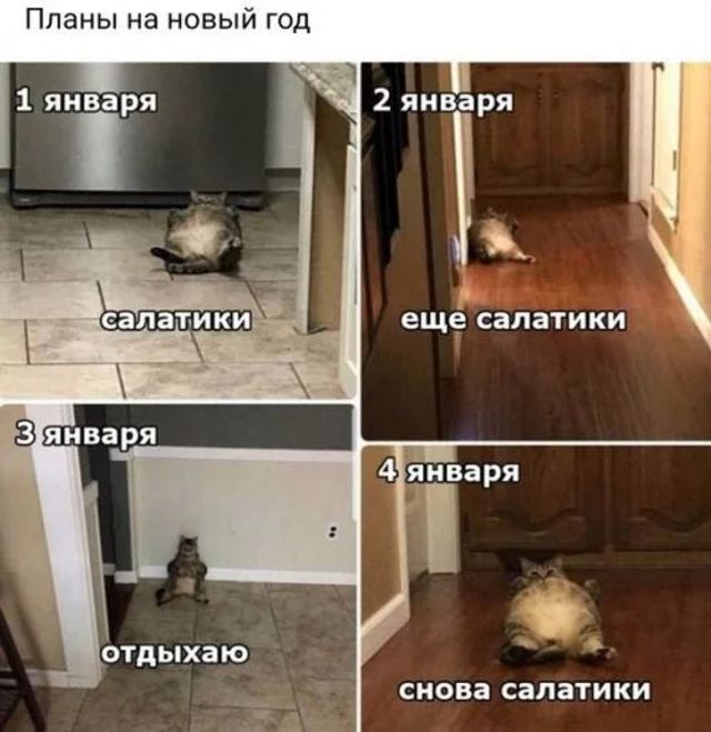 Планы на новый год СИОВЗ СВЛЗТИ КИ