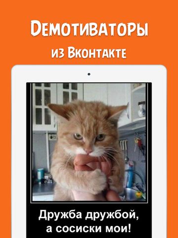 дРУЖба дРУЖбЙ а сосиски мои