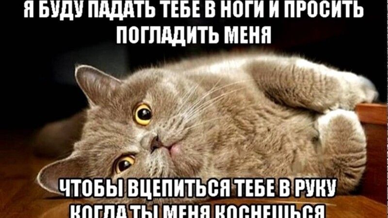 БУДУ ПдддТЬ ТЕБЕ В 0 И ПРЩБИТЬ П0ГПддИТЬ МЕНЯ _ вцшить ипгпп ТЫ МЕНЯ иппнппьпя
