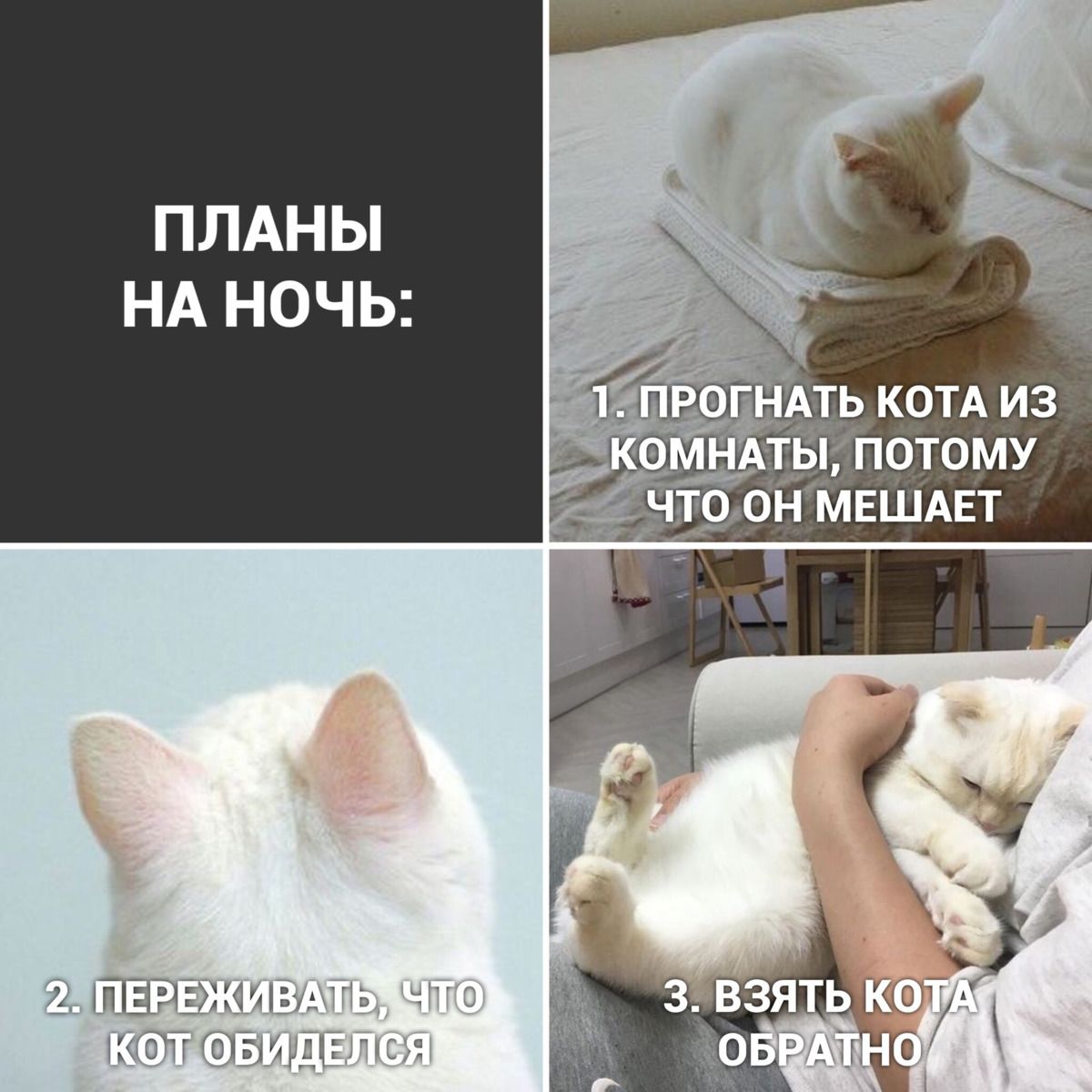 ПЛАНЫ НА НОЧЬ ЁЁЦМ51ЬИЬ С Щ и к