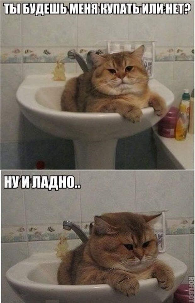 ПШ БУДЕШЬ МЕНЯ КУПИТЬ ИПИНП