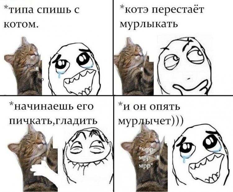 типа спишь с котэ перестаёт котом мурлыкать начинаешь его пи атьгладить