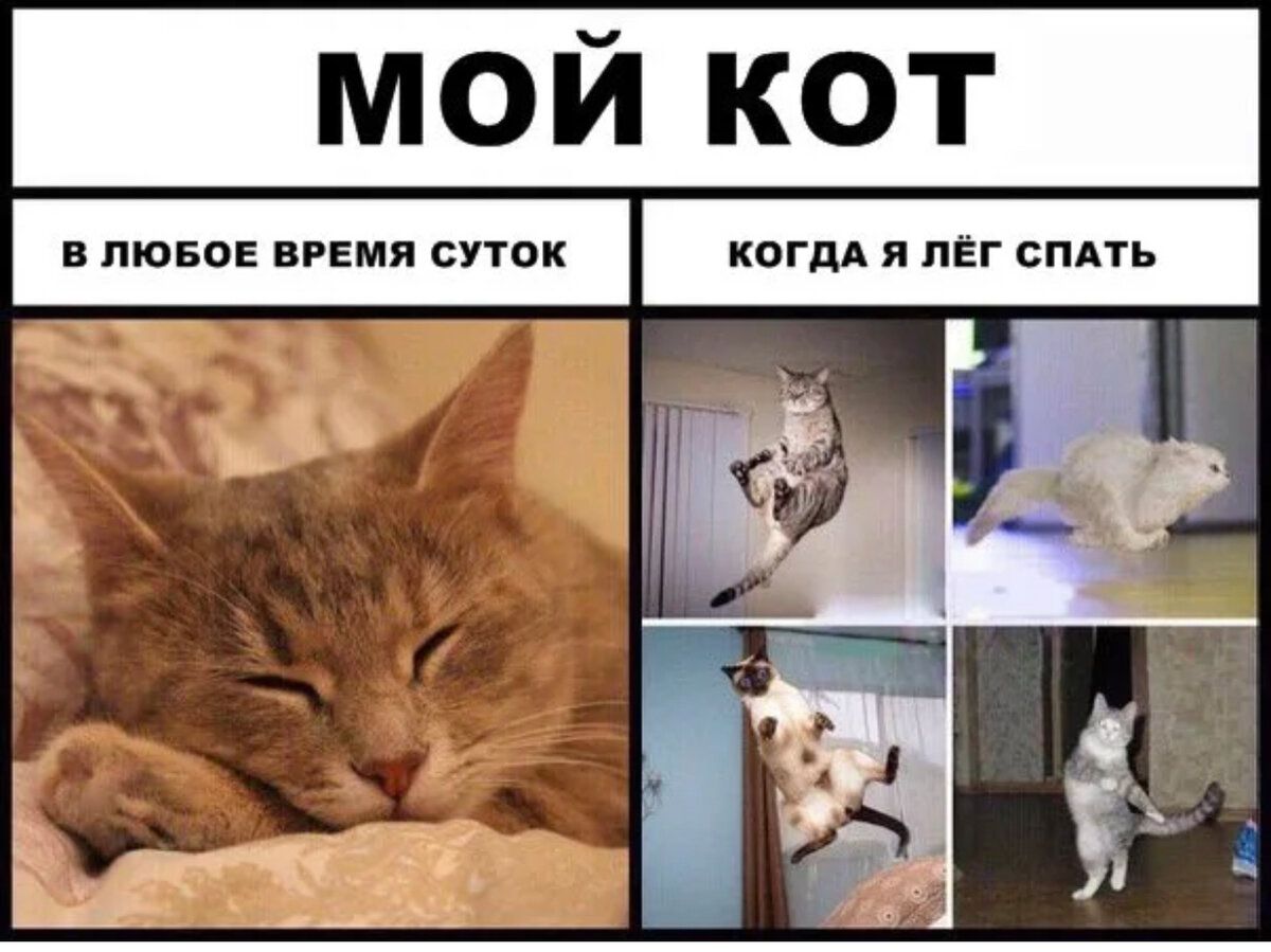 М О Й КО В ЛЮБОЕ ВРЕМЯ СУТОК КОГДА Я ЛЁГ СПАТЬ ЕЮЙЧЁ
