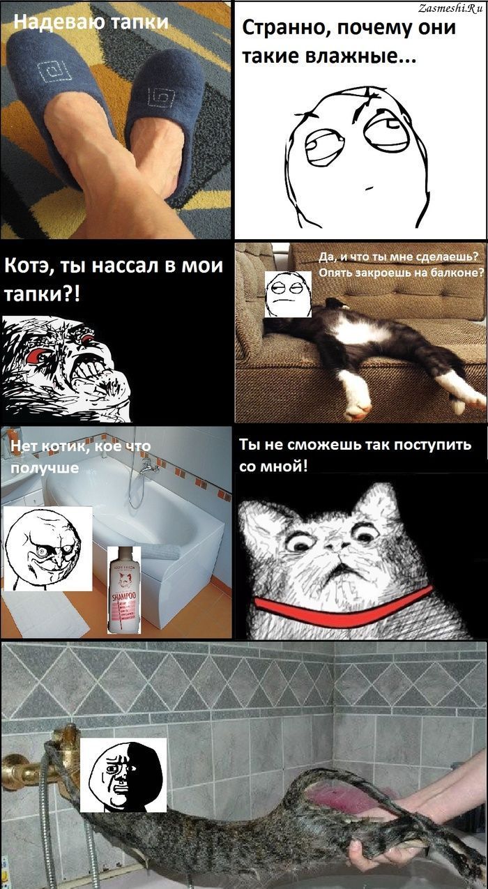 Странно почему они такие влажные да и что ты мия сдрлишь Опять икроешь на балконе Ты не сможешь так поступить со мной Котэ ты нассал в мои тапки
