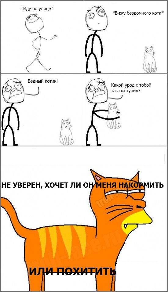 Иду по упице вИжу бездомного ища Бедный котик Какой урод Тобой так поступил7 НЕ УВЕРЕН ХОЧЕТ ЛИ О