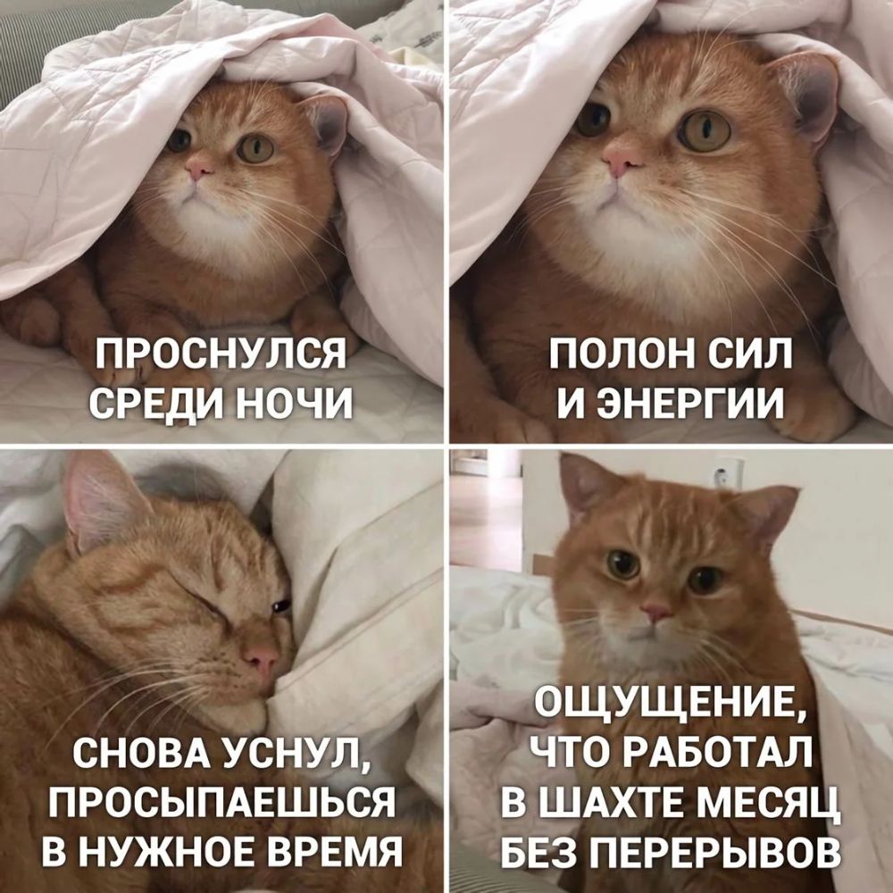 ПОЛОН СИЛ И ЭНЕРГИИ о щущвнив СНОВА усн то РАБОТАЛ просыпмгшься дв ШАХТЕ мвсяц В НУЖНОЕ ВРЕМЯ БЕЗ ПЕРЕРЫВОВ