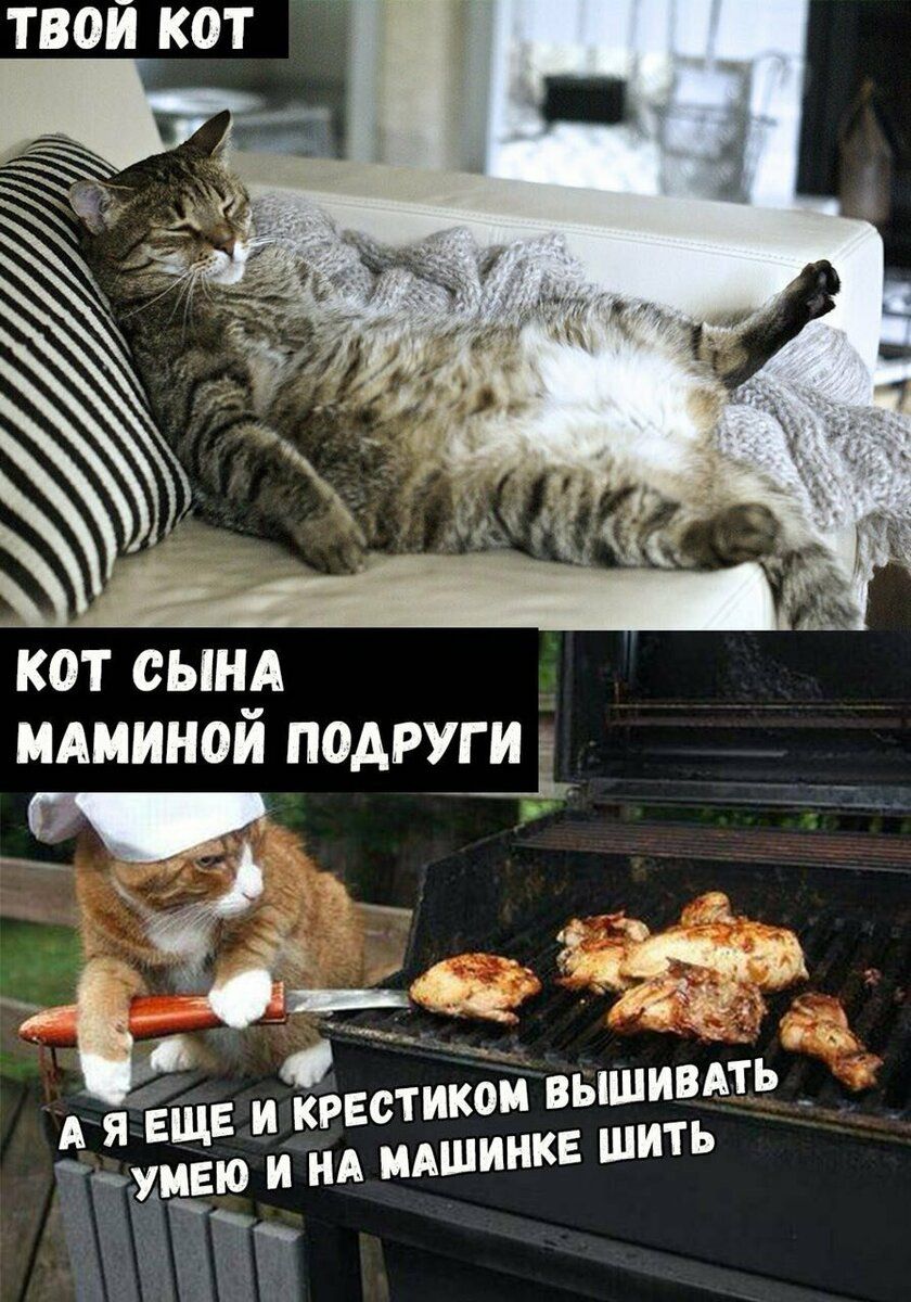 ТВОЙ КОТ ЕяЁщв и крестиком вышивмь тмцЕю и НА мшинкв шить _д 1 99