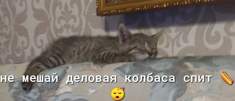 Шан депози