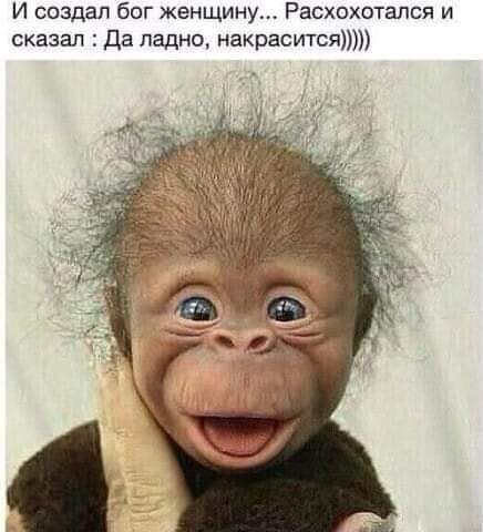 И создал бог женщину Расхохотался и сказал Да ладно накрасится