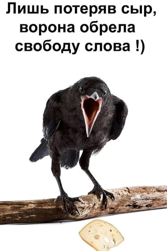 Лишь потеряв сыр ворона обрела свободу слова