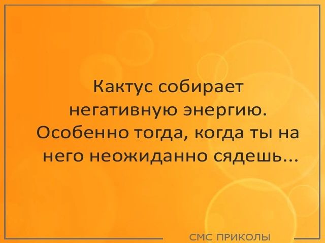 Кактус собирает негативную энергию Особенно тогда когда ты на него неожиданно сядешь СМС приколы _