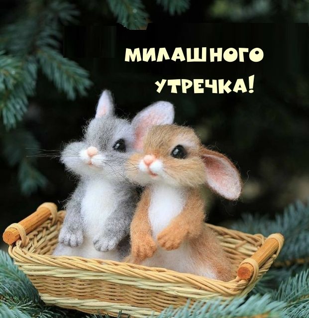 мимшного _ к УГРЕЧКА