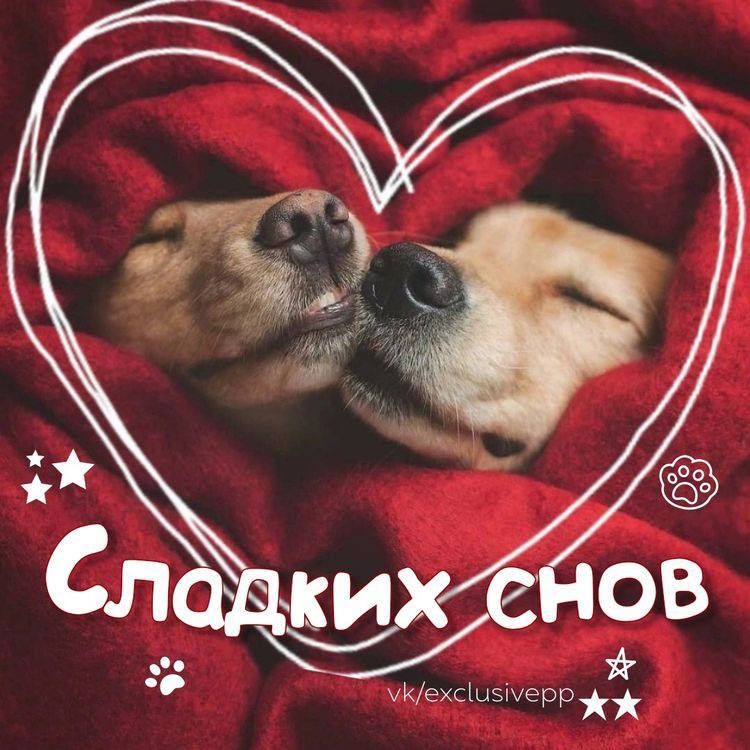 ииехсіиішедр