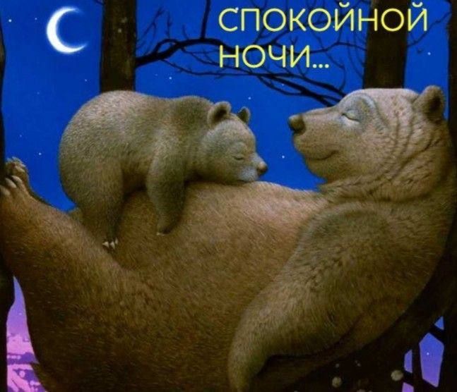 С СПОКОЙНОЙ НОЧИ