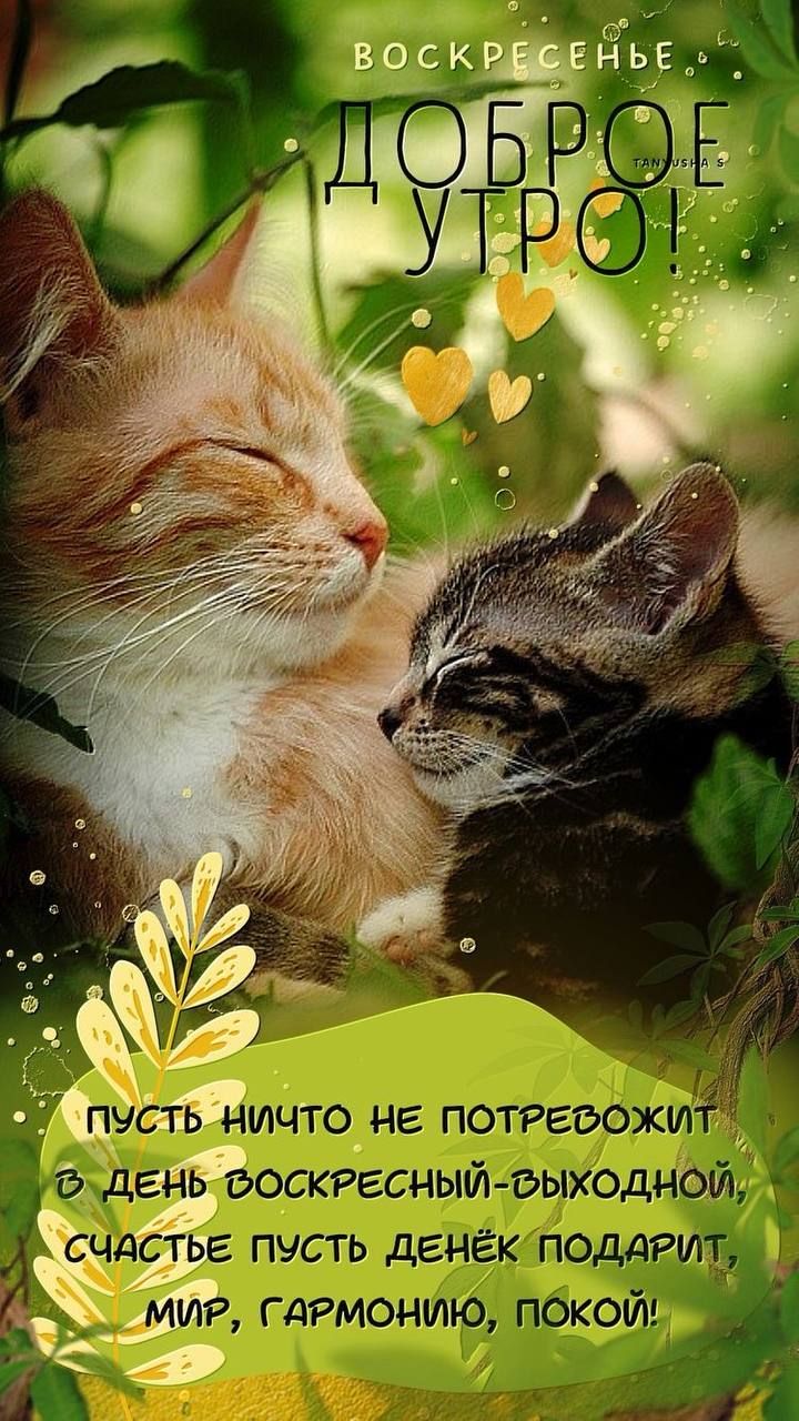 жа т ь ЩЪ г сітье Ютта _ Ё1д такты 4