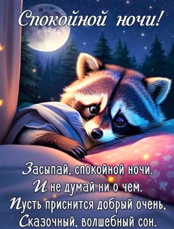 Сдпокдинои ночи Засыцаи спокомцои ночи не думай ни о чем МЙ пусть приснится добрым очень Сказочный волшебный сон