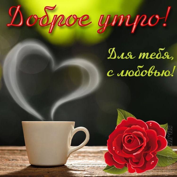 Ёлчэпігч ппд АН 1 1050 0634