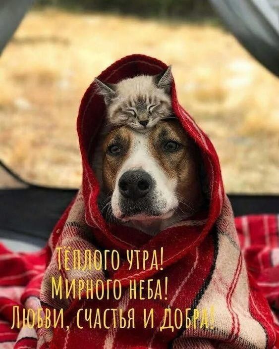 ГОУТЫ НОГО НЕВА _Дви СЧСВя И ОН