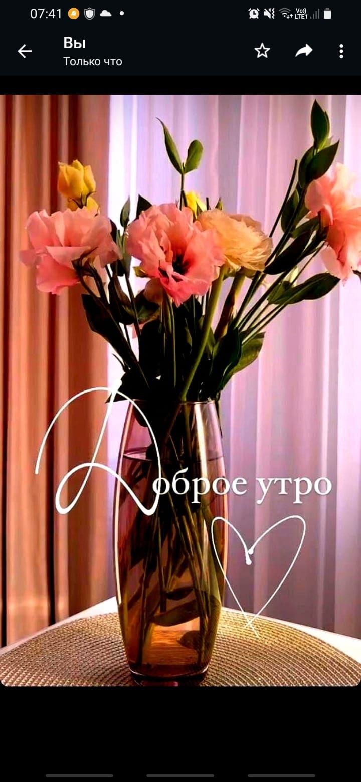 0741 _ их ае г 1 в й Только что