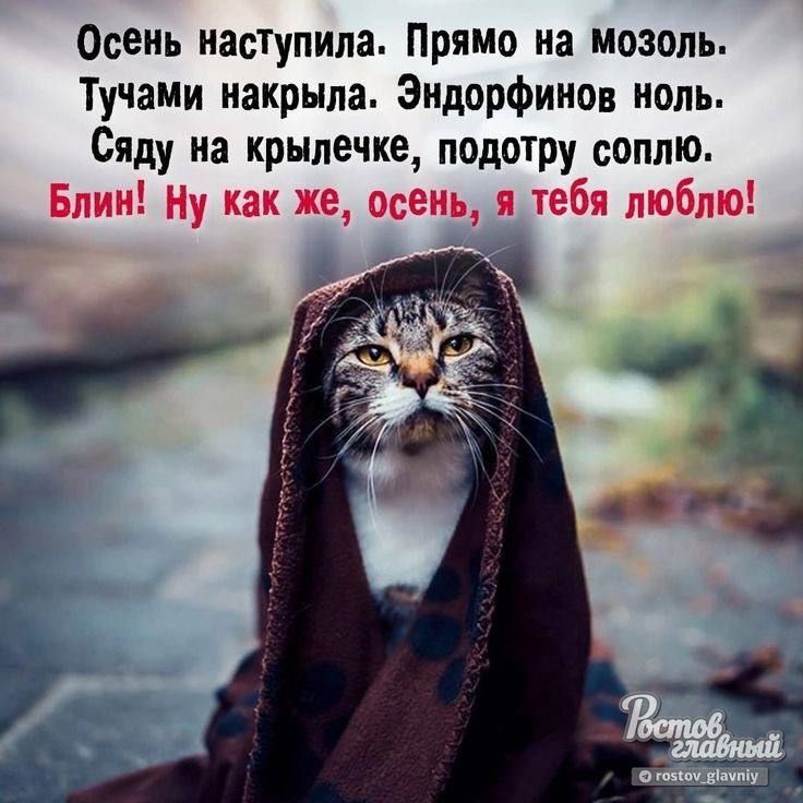 Осени настУпила Прямо на мозоль Тучами накрыла Эндорфииов нот Сяду на крылечке подотру соппю Бпии Ну как же всем я тебя люблю