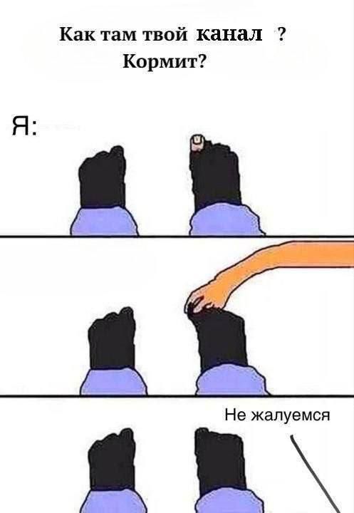 Как там твой канал Кормит Не жалуется