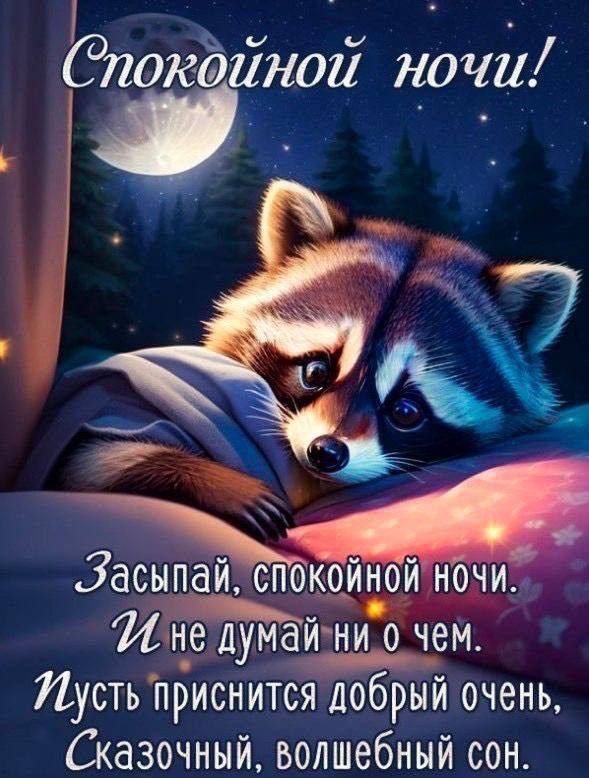 коинои ночи н_е думатм ни о чем пусть приснится добрый очень СКЗЗОЧННЙ БОЛШЕбНЫЙ СОН