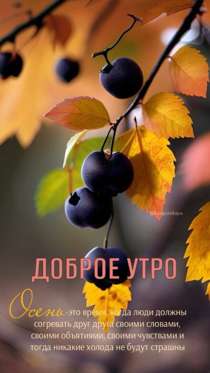 должны словами ства