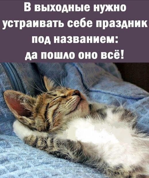 В выходные нужно устраивать себе праздник под названием да пошло оно всё