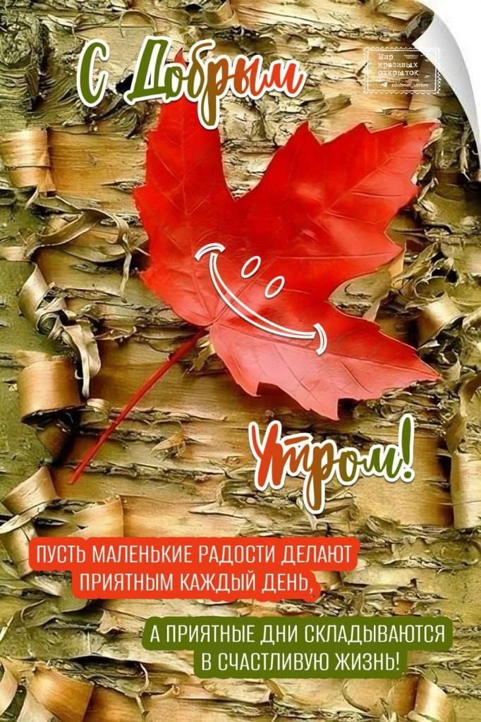 дприятншанискпшывмбтся в сцлшпиную жизнь
