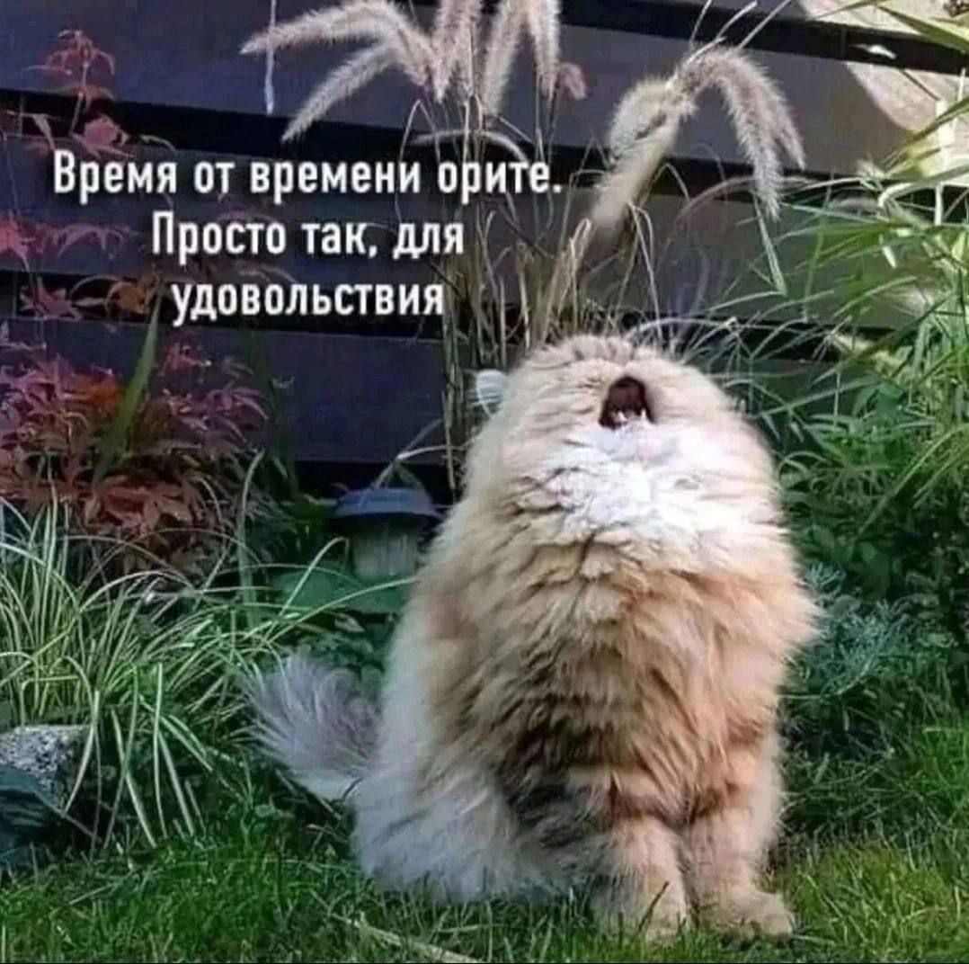 Врёмя от времени Прпстптак для удовольствия