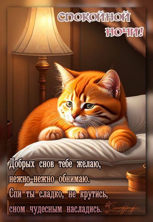 _ ідобрых споГтебГ 1310 нежно нежно_обнимаю_ Ё Бинтысладко не крутись сном чудесным насладивь
