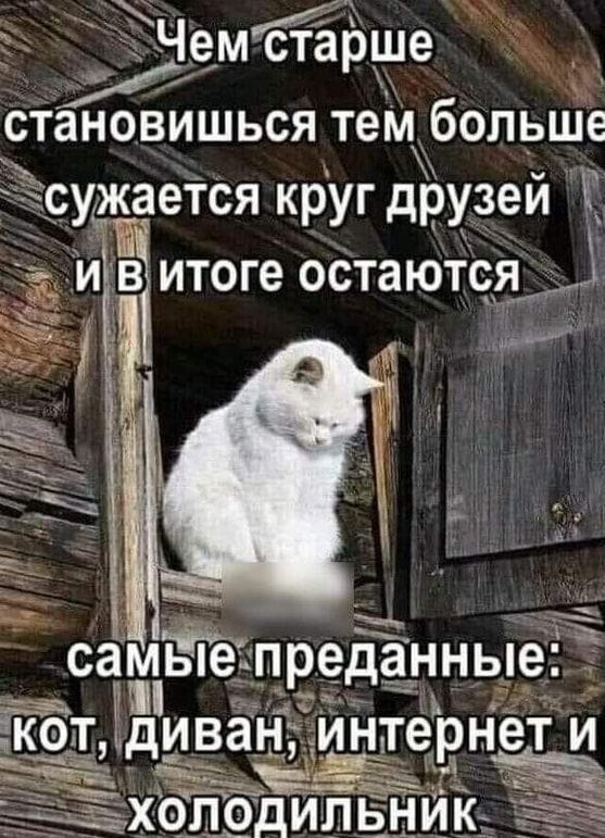 _Чемстёрще становишься тем больще ужаеТся круг друзей Е ив итоге остаюте_я