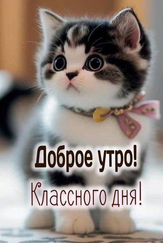 оброеут Кпасснот ро _ 15