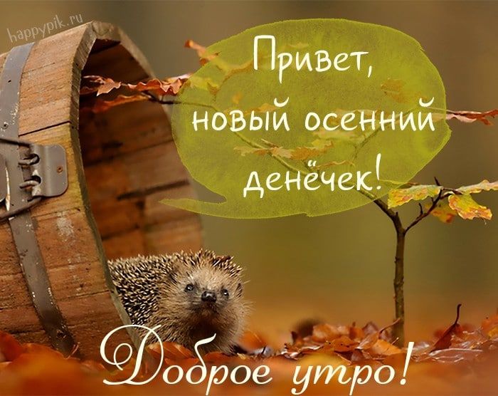 _ Прива новь осенний денёчек