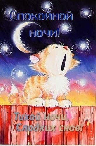 Н ШИНЫ 1