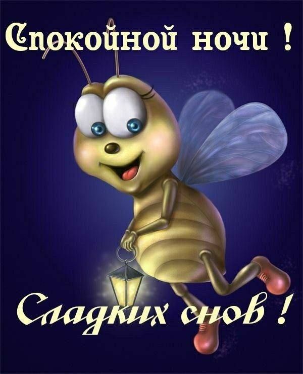 пжо ной ночи Ч