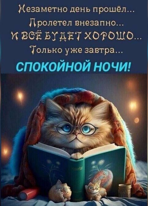 Незаметно день прошел дролетел внезапно И ВСЁЁ БУДЕТ ХОРОШО Только уже завтра спокойной но чп