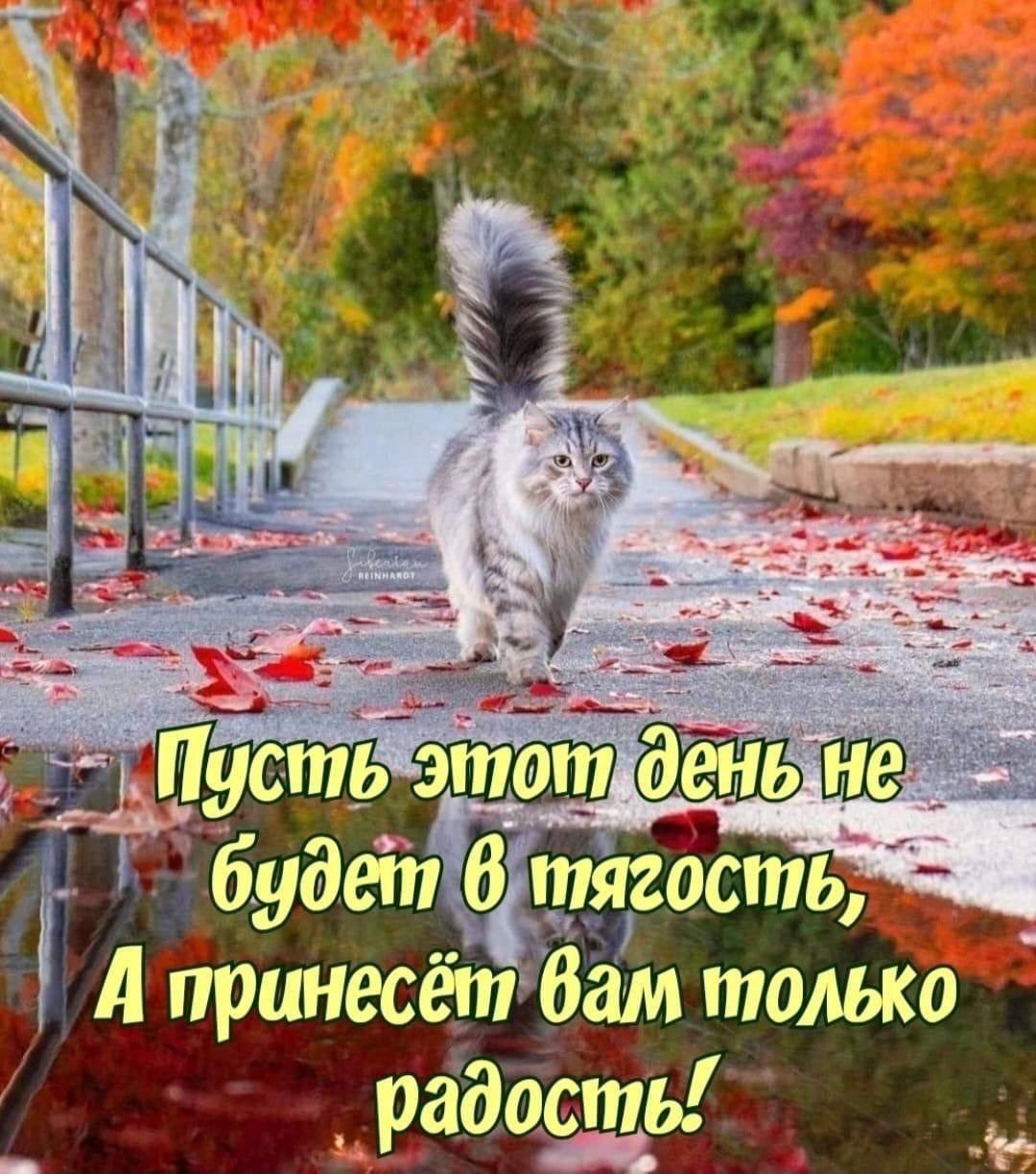1 принесёт бам только _