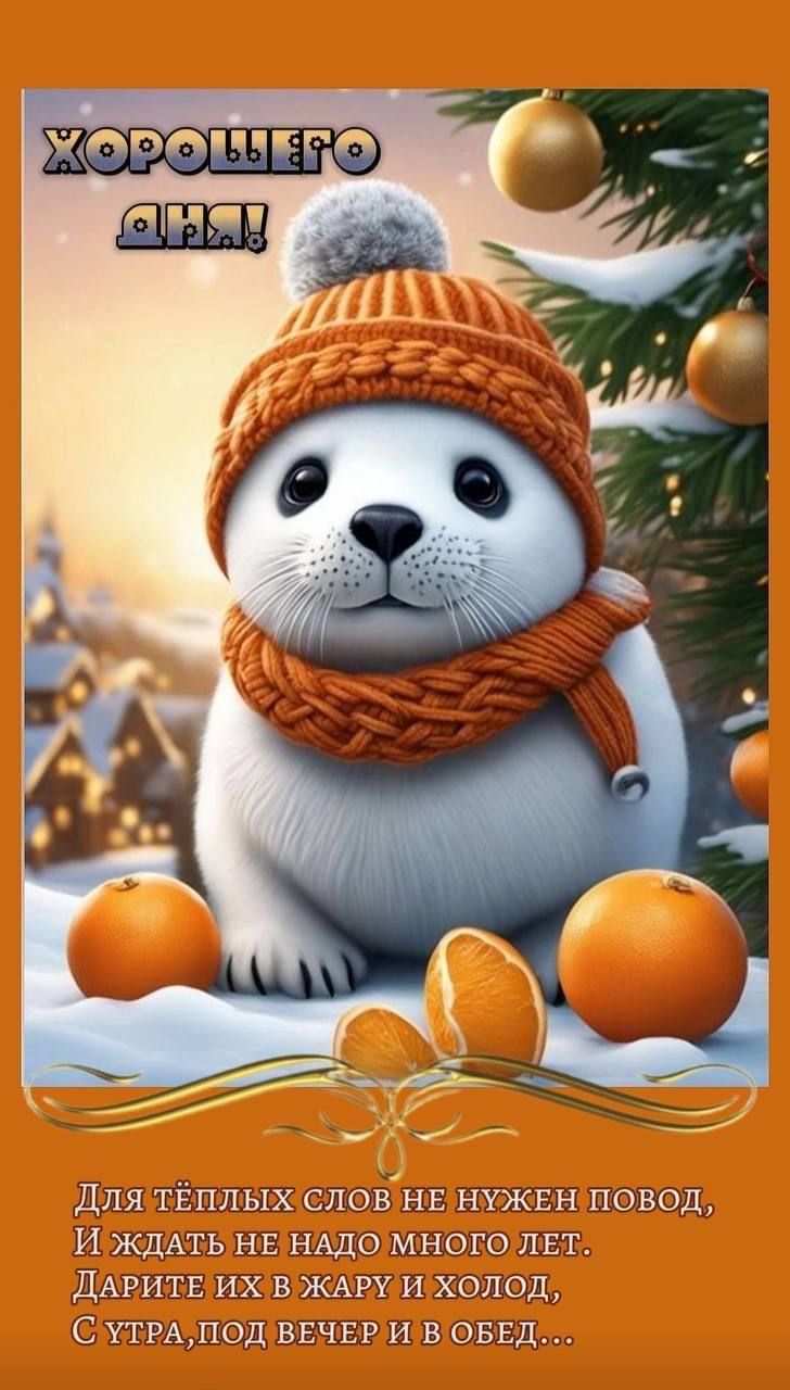 НМЬ Ш двш швт