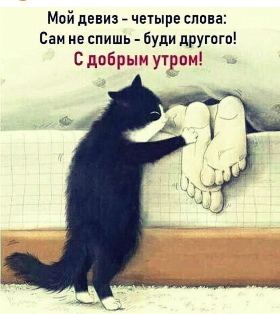 Мой дЕВИЗ ЧЕТЫРЕ слова Сам не спишь буди дРУГпго С добрым утром