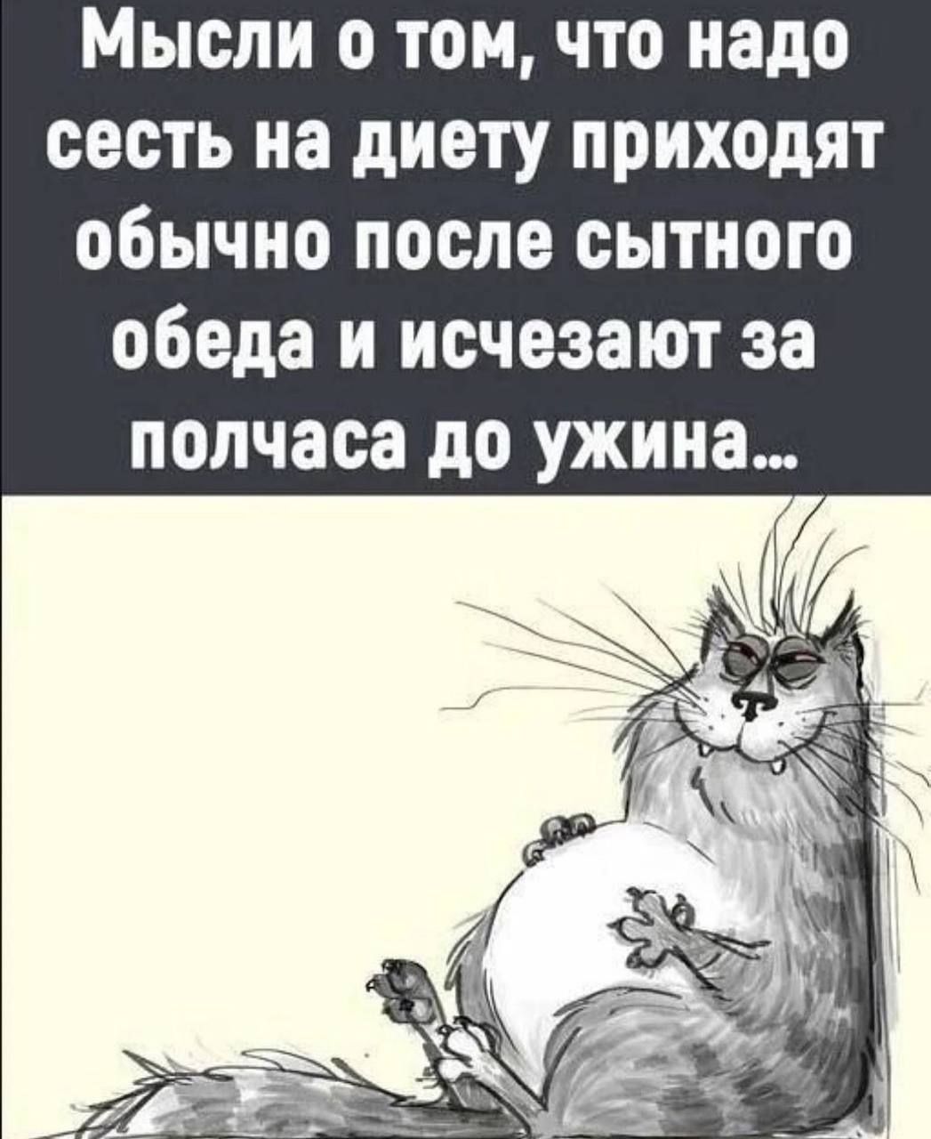 Мысли о томчто надо сесть на диету приходят обычно после сытного обеда и исчезают за полчаса до ужина