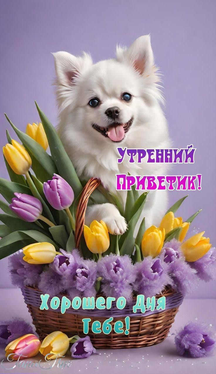 _Е а ртами
