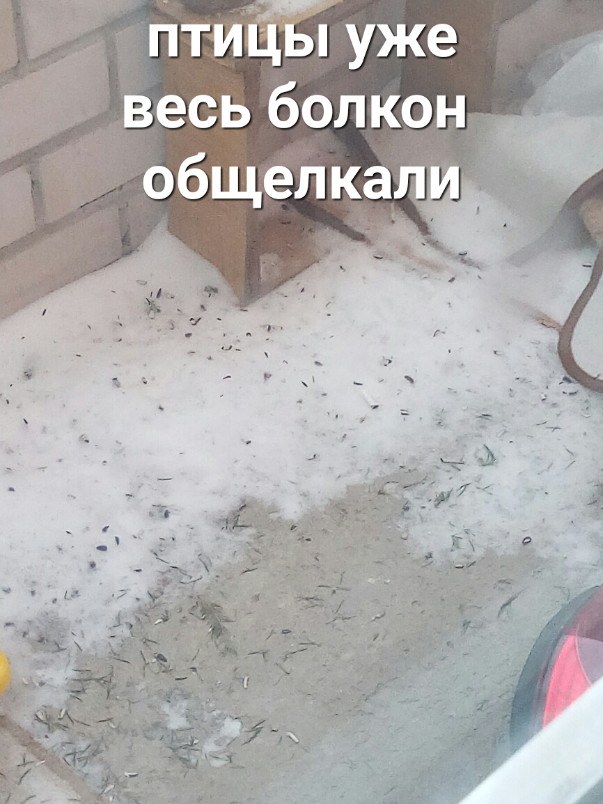 уже _ весь болкон общел кал