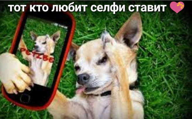 тот кто любит селфи ставит