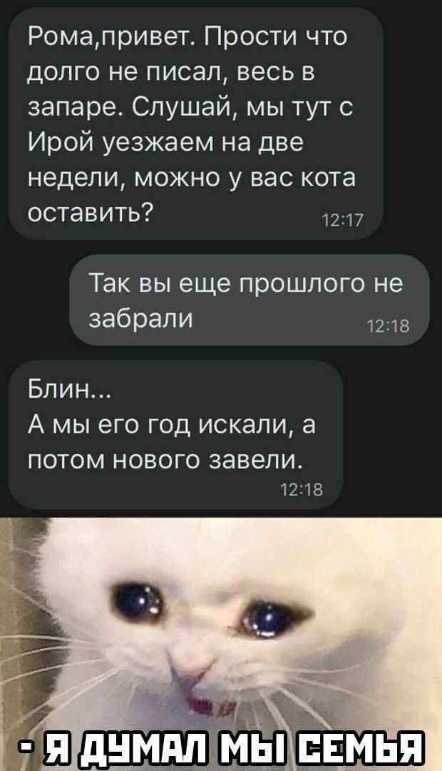 Ромапривет Прости что долго не писал весь в запаре Слушай мы тут с Ирой уезжаем на две недели можно у вас кота оставить 1217 Так вы еще прошлого не забрали 1218 Блин А мы его год искали а ПОТОМ НОВОГО ЗЭВЕЛИ 1218