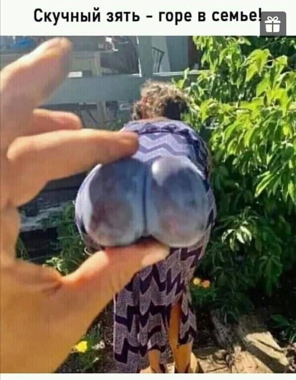 Скучный зять горе в семье ЁЁ